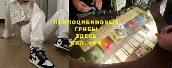 сатива Алексеевка