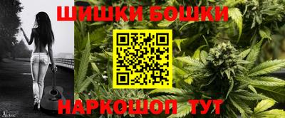 хмурый Новозыбков