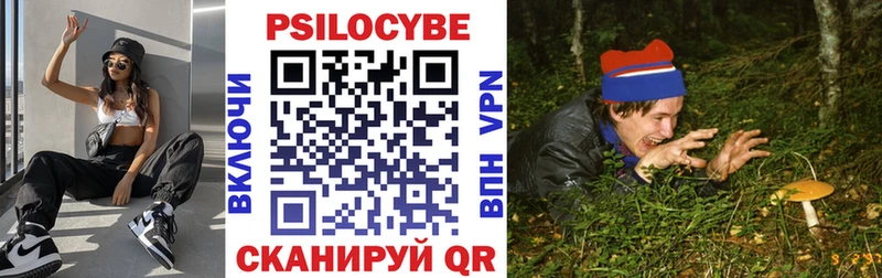 как найти   Переславль-Залесский  Псилоцибиновые грибы мицелий 