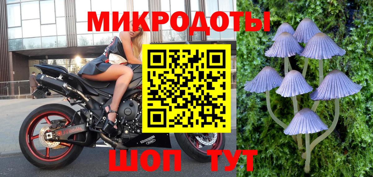где купить наркоту  Вход с VPN  Переславль-Залесский  Псилоцибиновые грибы Psilocybine cubensis 